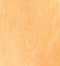 Yellow Birch (Stair Parts Canada)